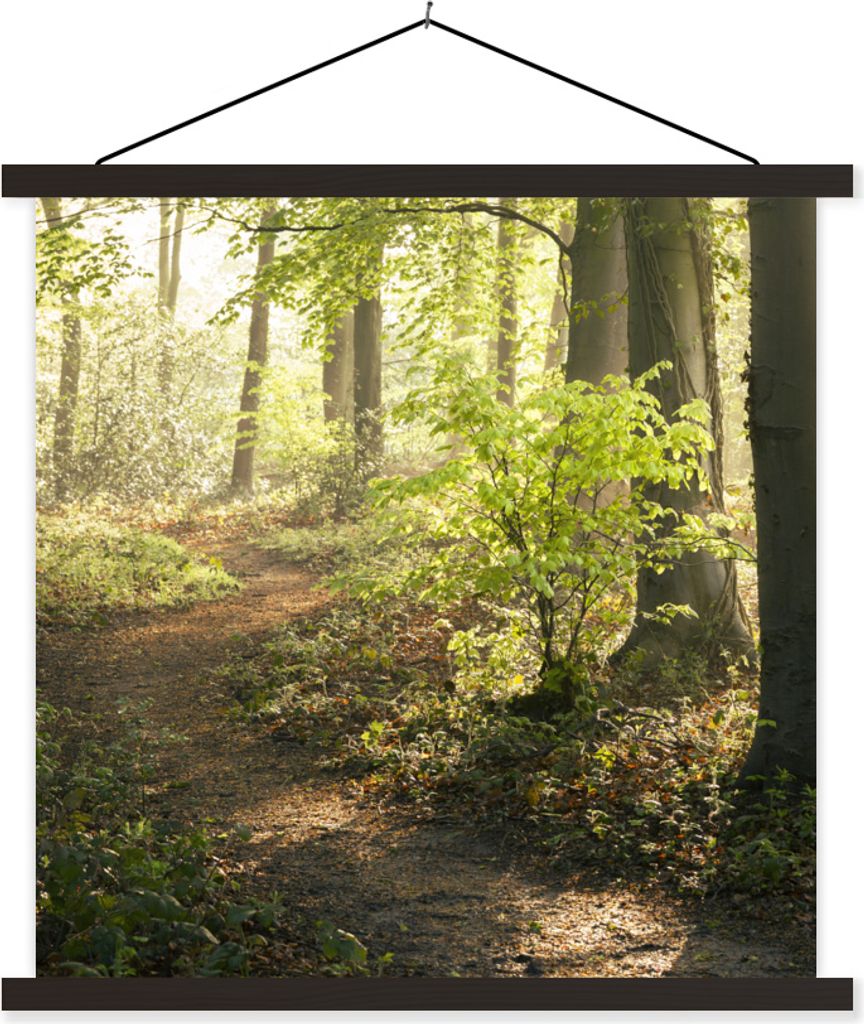 MuchoWow Textilposter Wald - Bäume - Weg - Sonne - Pflanzen - Laub - Natur 120x120 cm mit schwarzem Rahmen - Aufhängungsset