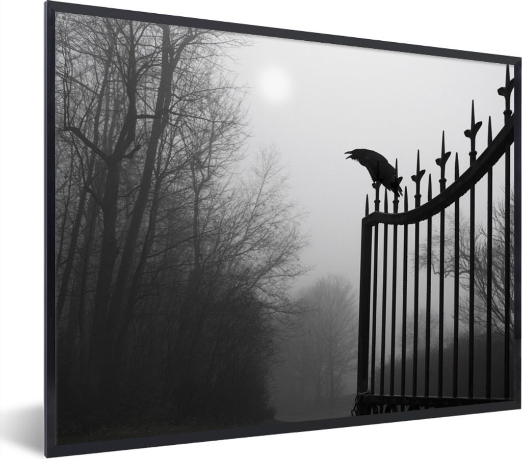 MuchoWow Gerahmtes Poster Zaun - Krähe - Schwarz 80x60 cm - Poster mit Schwarzem Bilderrahmen Wandposter Rahmen Foto Bilder - Schwarzem - Mit Ge...