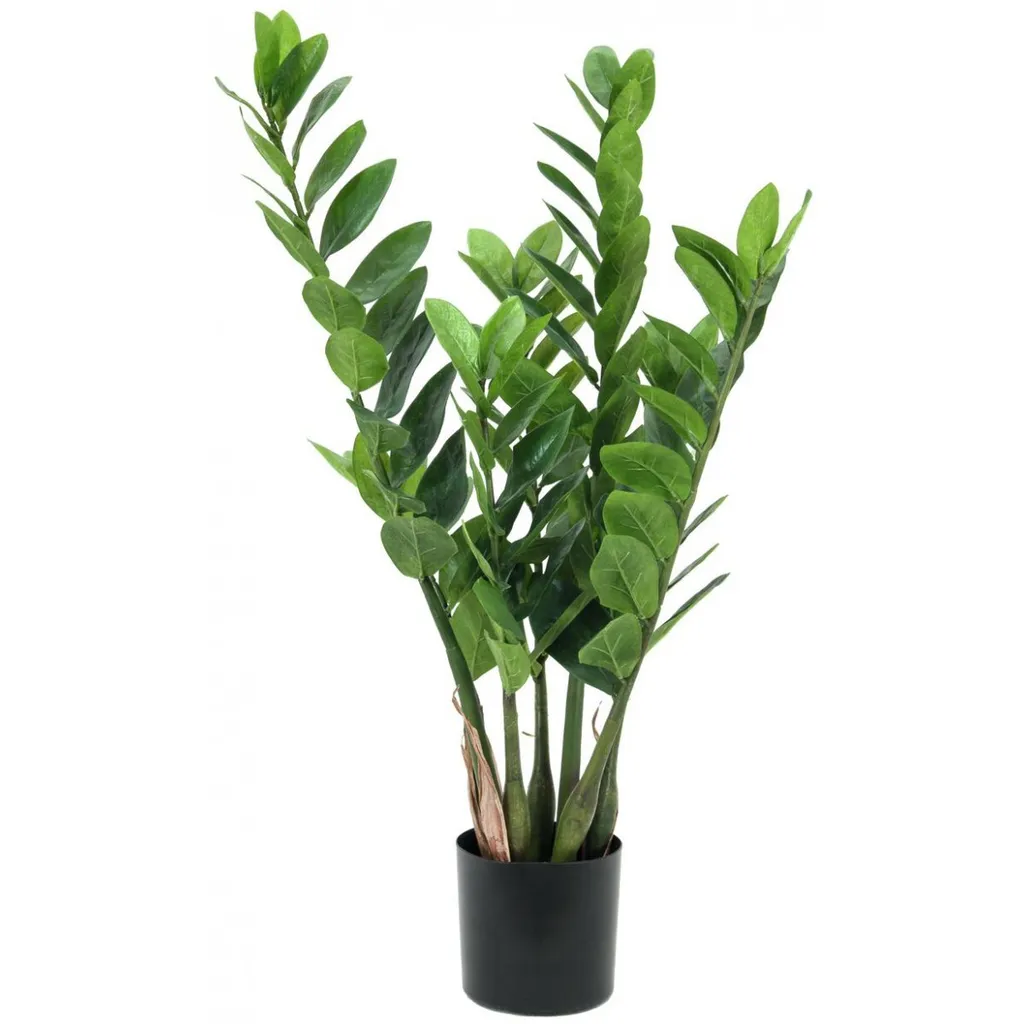 Fornitura Zamifolia Artificiale 70cm Europalms - Arredo Contract Ufficio