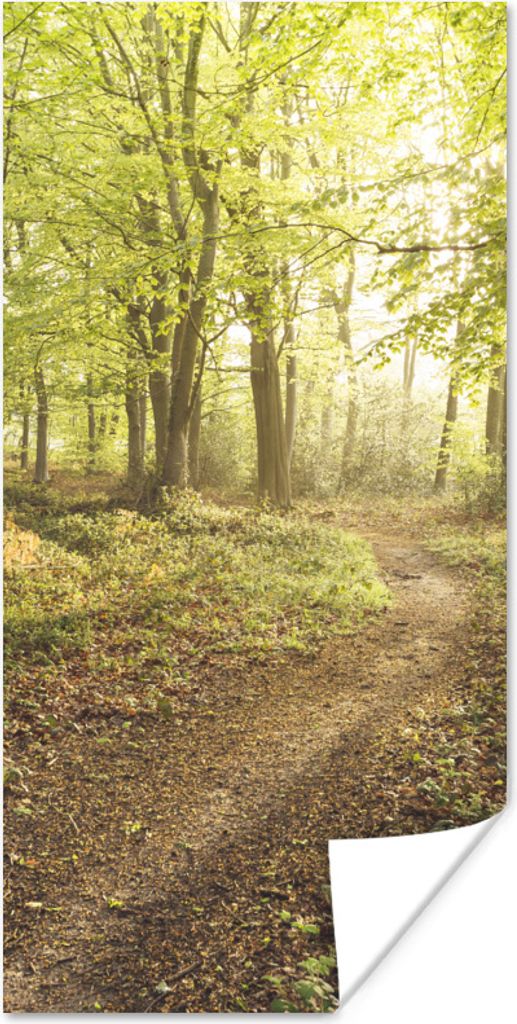 MuchoWow Poster Wald - Weg - Sonnenaufgang 80x160 cm - Kinderzimmer