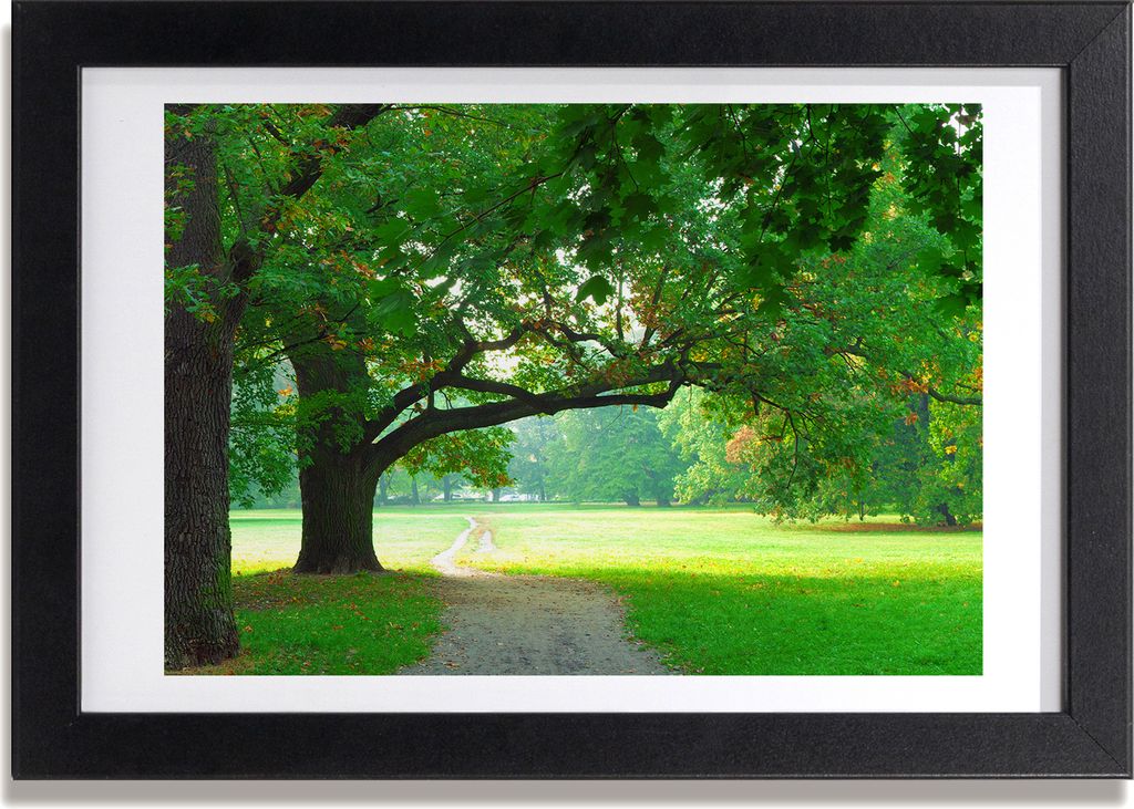 Bild 30x20 MDF-Rahmen, Wandkunst Park im Herbst