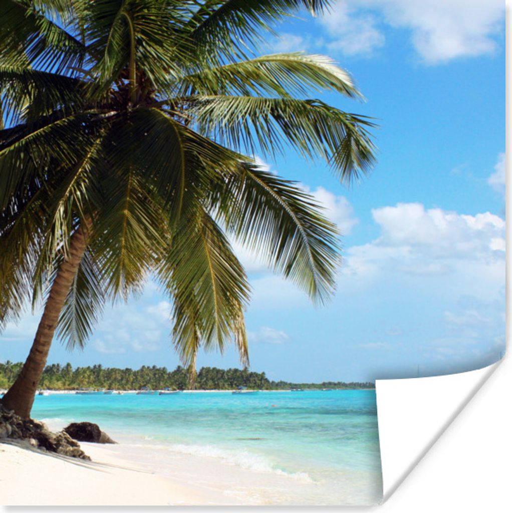 MuchoWow Poster Palme - Tropisch - Wolken 75x75 cm - Wand Dekoration