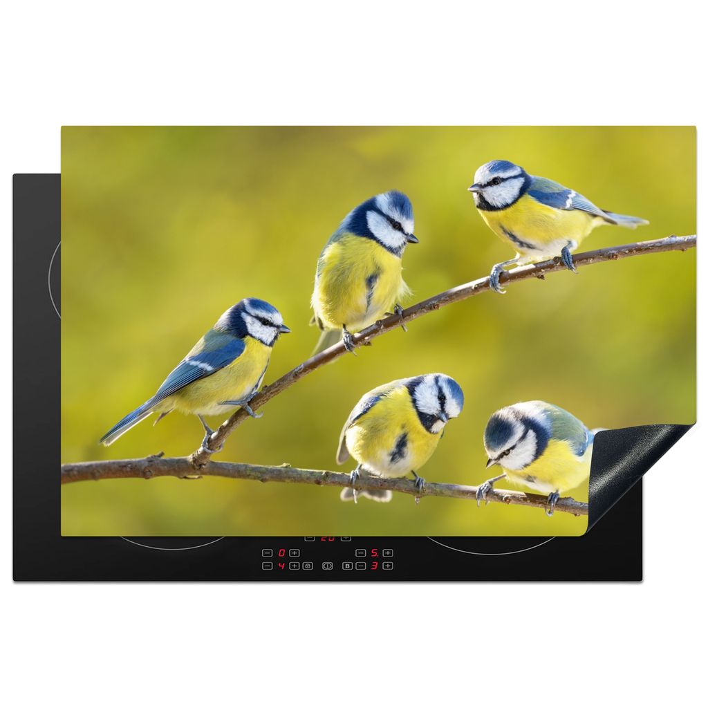KitchenYeah Herdabdeckplatte Vogel - Blaumeise - Äste - Sonne , 81x52cm, Küche Deko, Glaskeramikkochfeld Herdabdeckung, Abdeckplatte fùr Kochfeld
