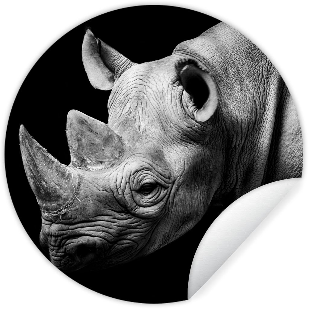 MuchoWow Runde Wandtattoo - Wandsticker Tapete Aufkleber Tiere - Nashorn - Schwarz - Weiß - Porträt Ø 30 cm Selbstklebend und Repositionierbar...