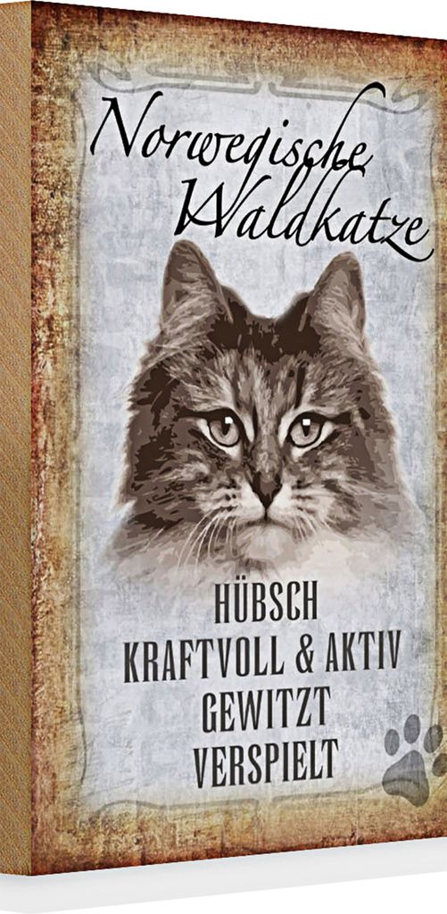 Holzschild Spruch 20x30cm norvegische Waldkatze Katze Wanddeko
