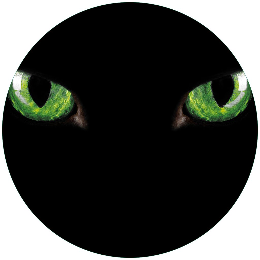 Wallario Premium Glasbild, freischwebende Optik, kräftige Farben, rund 50cm Durchmesser, Motiv Grüne Katzenaugen bei Nacht