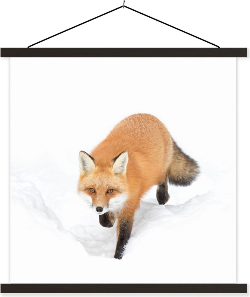 MuchoWow Textilposter Fuchs - Schnee - Winter 40x40 cm mit schwarzem Rahmen - Fotos