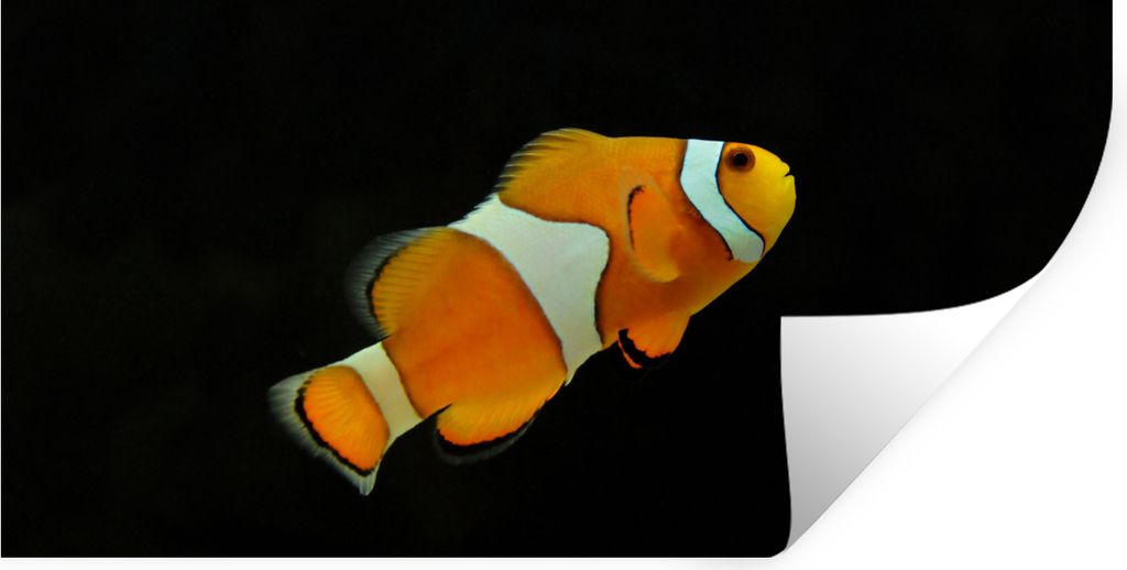 MuchoWow Wandtattoo Wandsticker Wandaufkleber Fisch - Linie - Schwarz 120x60 cm Selbstklebend und Repositionierbar