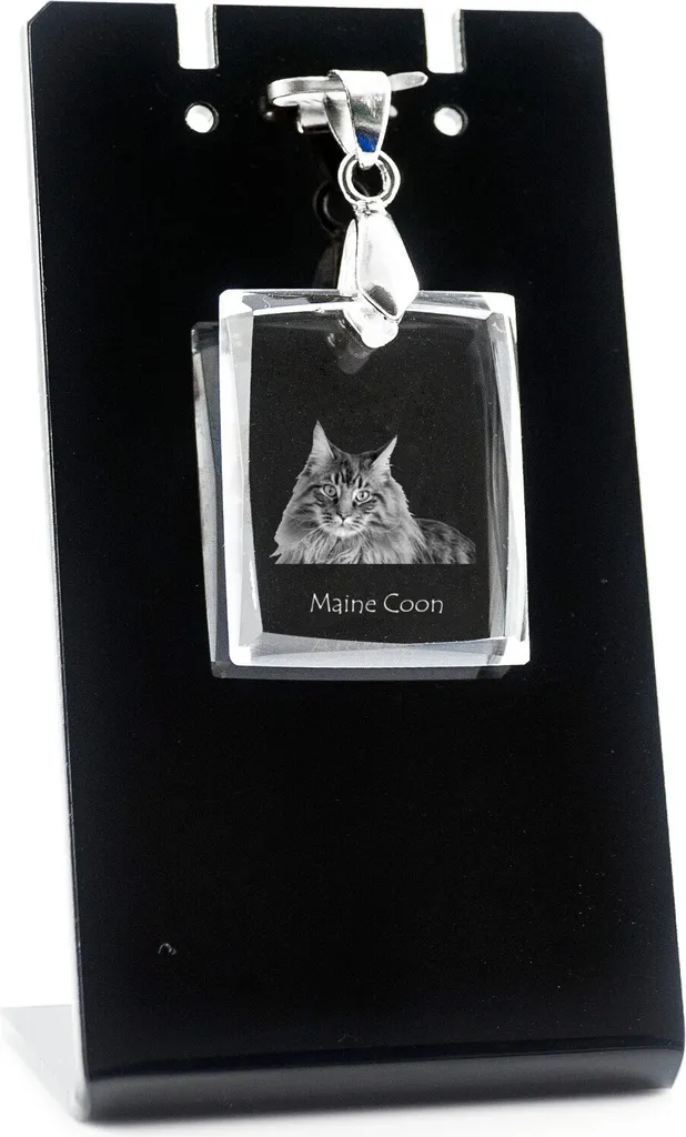 Mainská mývalí kočka - Ciondolo gatto di cristallo, collana con foto, gioiello unico di Art-Dog