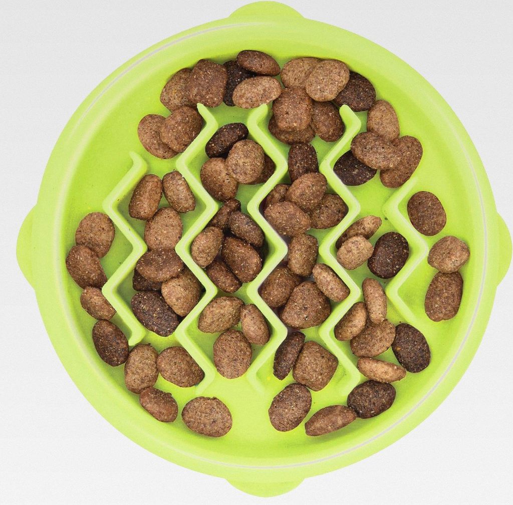 Kitty Slow Feeder - Anti-Schling-Katzennapf - Grün
