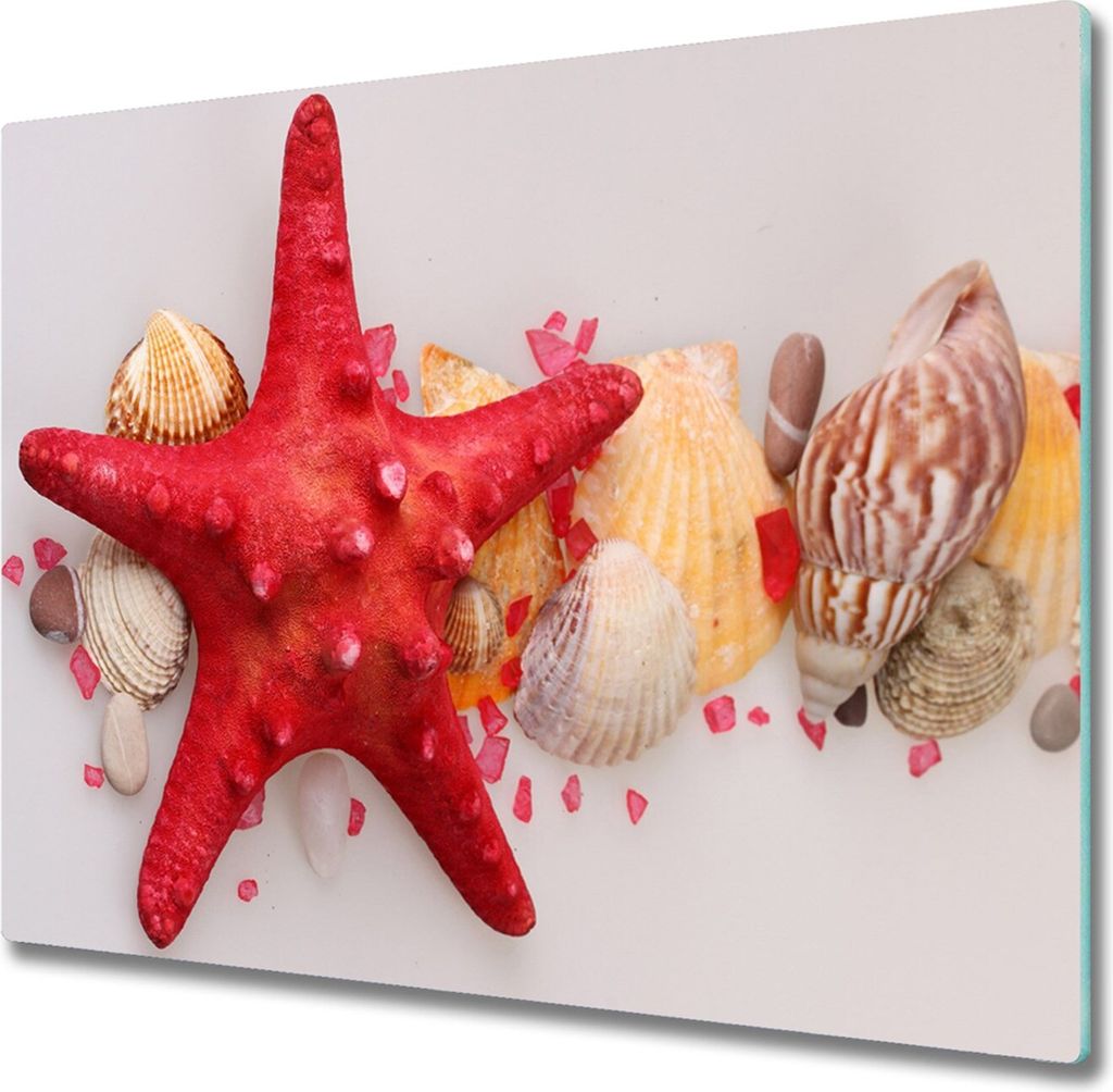 Glas Herdabdeckplatte 60x52 cm Spritzschutz Glasabdeckplatte Schneidebrett Seestern Muscheln