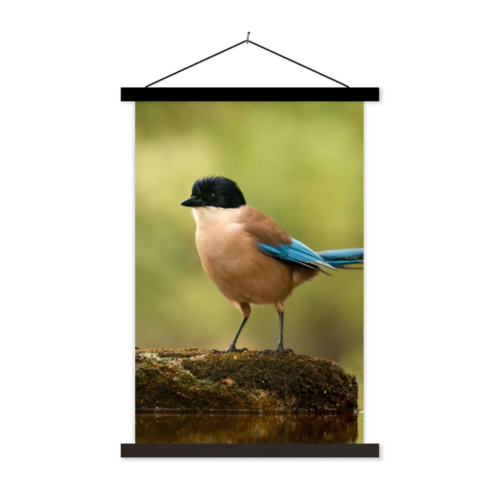MuchoWow Textilposter Elster - Vogel - Moos 120x180 cm mit schwarzem Rahmen - Fotos