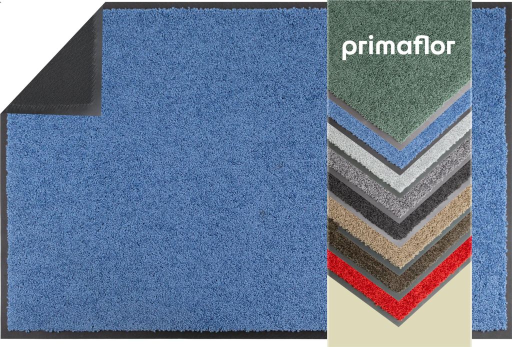 Schmutzfangmatte ZANZI 60x180cm Blau robuste Türmatte aus Recyclingmaterial, Größen