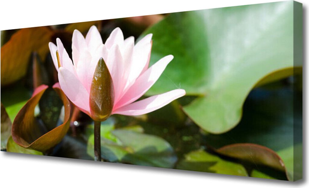 Tulup Leinwand-Bilder 125x50 Wandbild Canvas Kunstdruck Blume Pflanzen