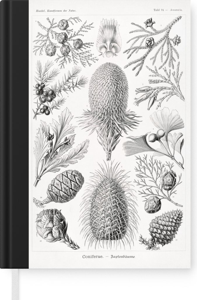 MuchoWow Notizbuch Tagebuch Haushaltsbuch Notebook A5 Koniferen - Ernst Haeckel - Kunst - Retro - Illustration - Natur - Notizblock - Notizheft -...