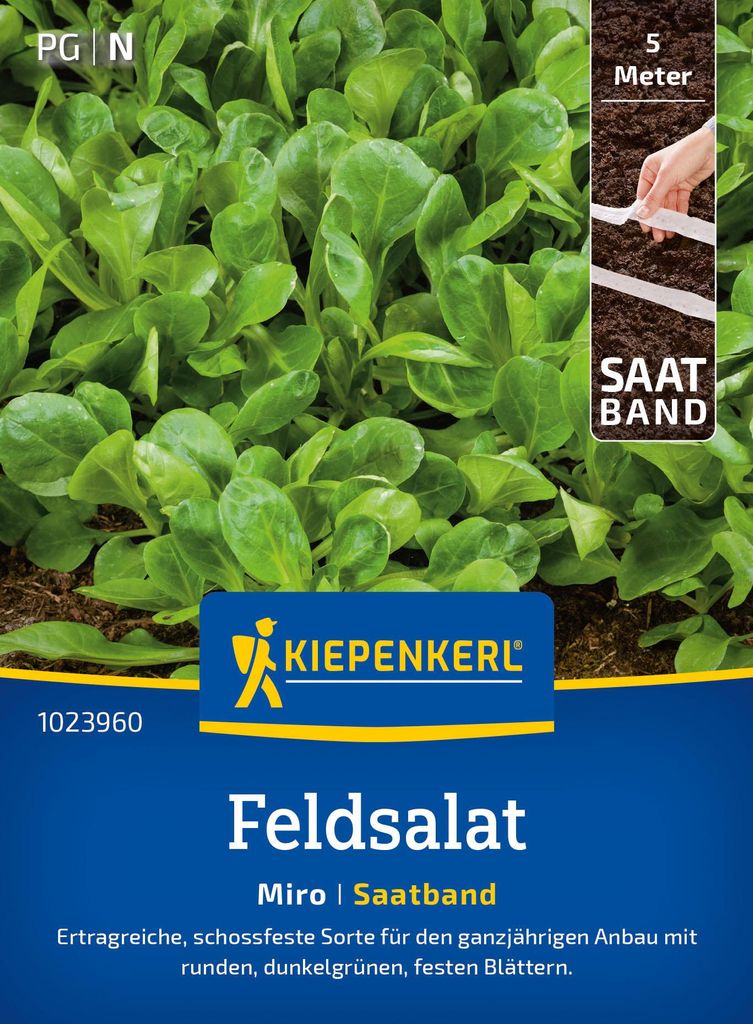 Artikelbild 2 von 'Feldsalat Miro (Saatband)' aus der Kategorie Feldsalatsamen