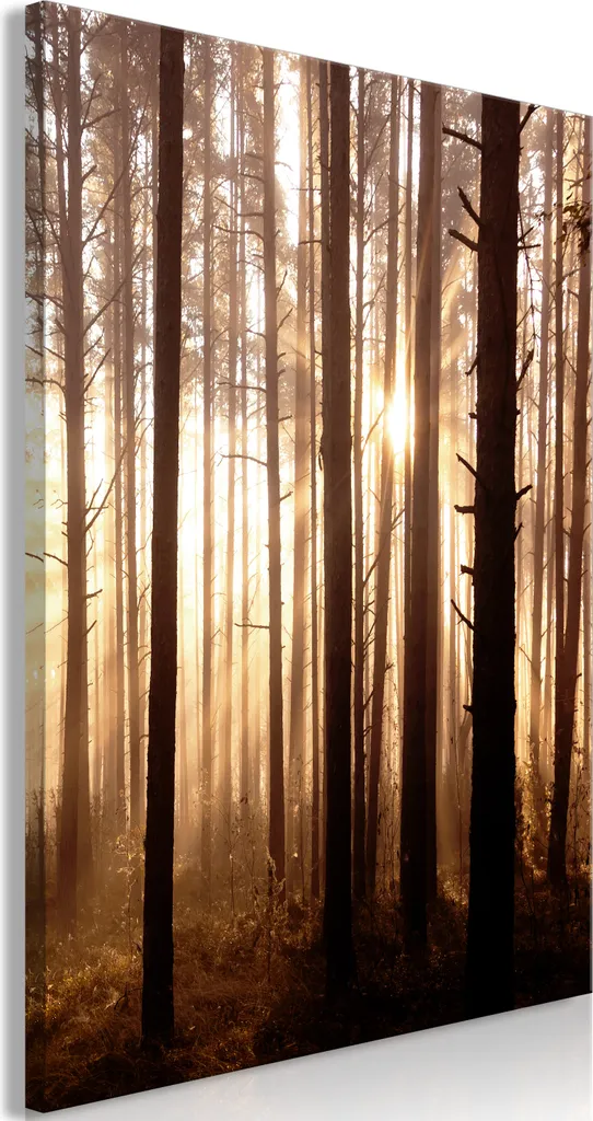 Quadro Sentieri Forestali 60x90 - Tela TNT Effetto Legno per Arredo Interni