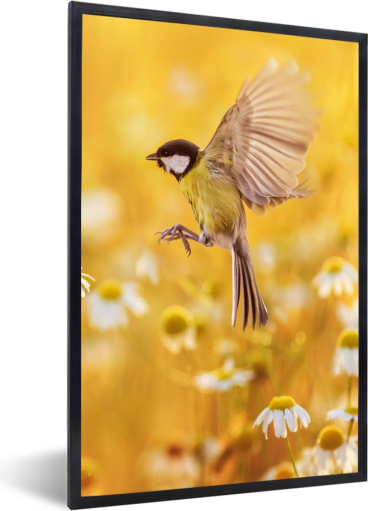 MuchoWow Gerahmtes Poster Vogel - Kohlmeise - Blumen - Gänseblümchen 20x30 cm - Poster mit Schwarzem Bilderrahmen Wandposter Rahmen Foto Bilder...