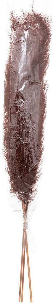 3 trockenblumen "natürliche pampa" rubinrot h110cm - Atmosphera créateur d'intérieur