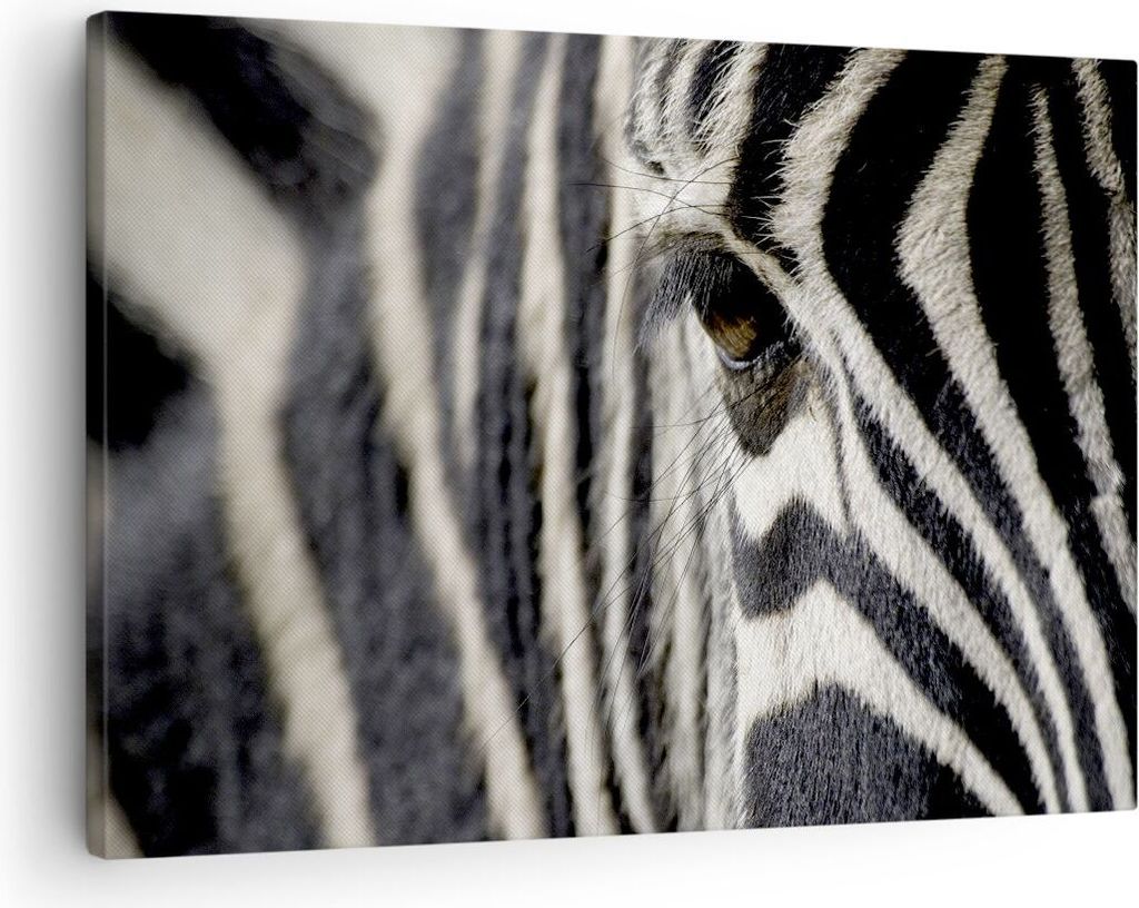 Bild auf Leinwand - Leinwandbild - Zebra Streifen Tierwelt Produktbild 