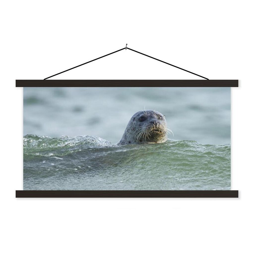 MuchoWow Textilposter Nordsee - Seehund - Wasser 150x75 cm mit schwarzem Rahmen - Posterleiste