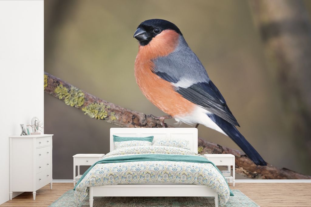 MuchoWow Fototapete für Wohnzimmer oder Schlafzimmer Wandtapete Vinyl Motivtapete Ein bunter Stieglitz sitzt auf einem Zweig im Vereinigten Kön...