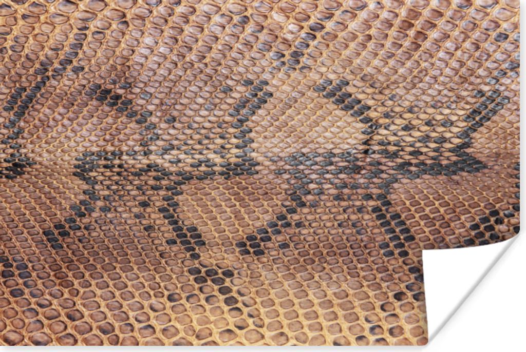 MuchoWow Poster Leder - Textur - Tierhaut 120x80 cm - Bilder