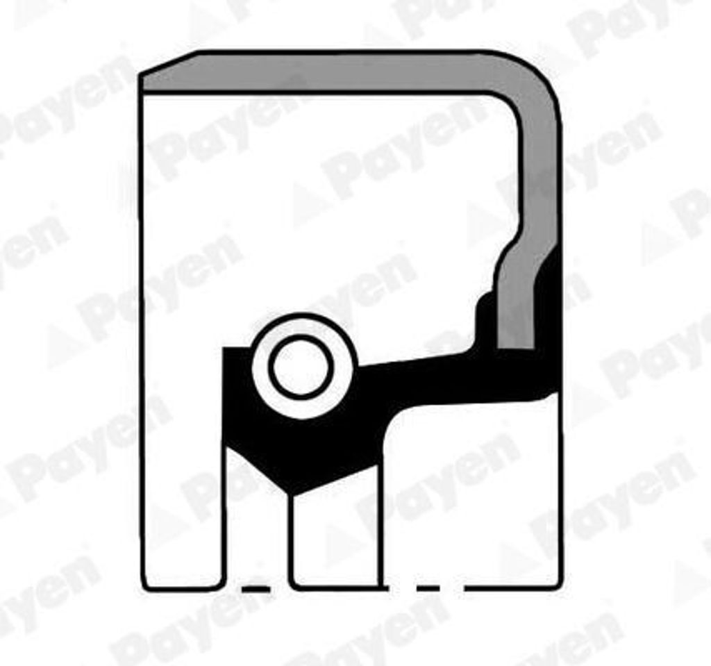 PAYEN Wellendichtring Radnabe NJ101 Hinten NBR (Nitril-Butadien-Kautschuk) 33mm 55mm