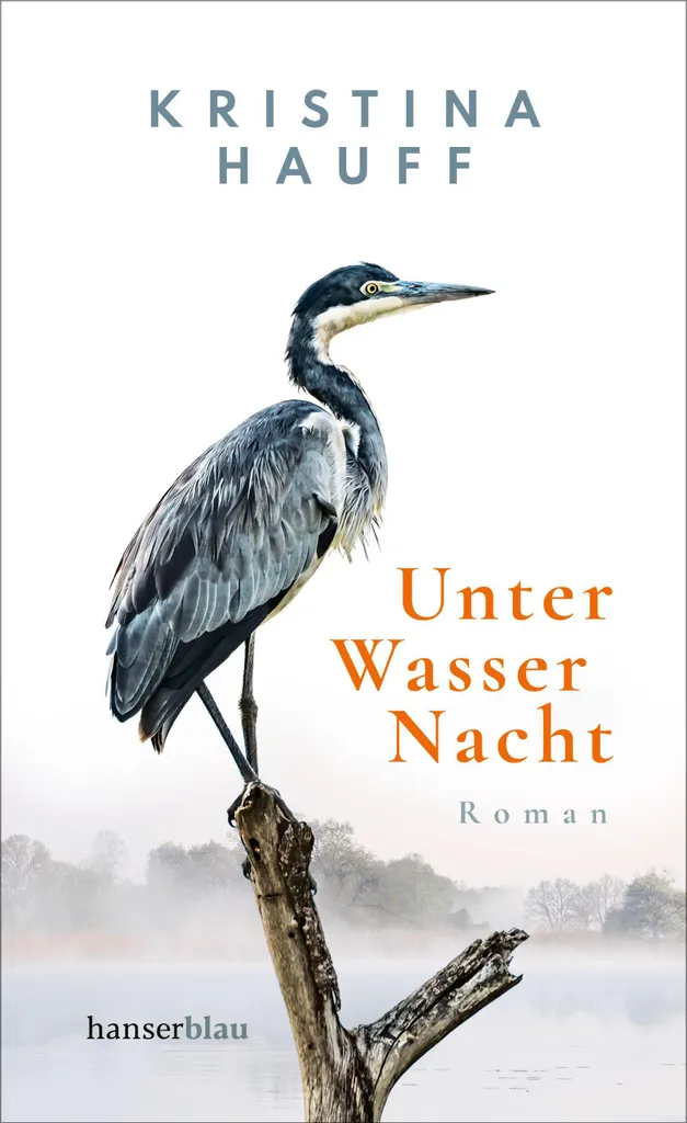 Unter Wasser Nacht Projecteur Aquatique avec Rotation 360° et LED Douce