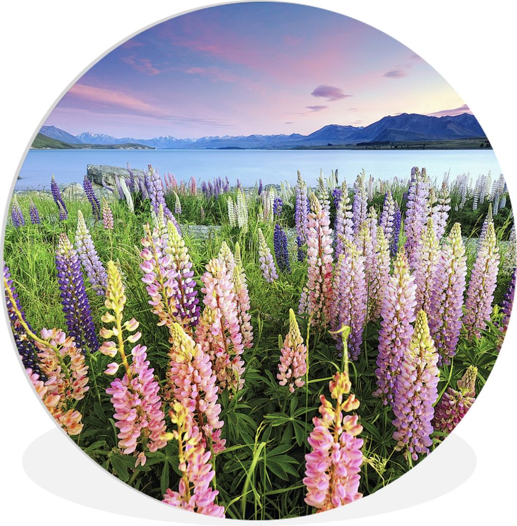 MuchoWow Rundes Wandbild - Runde Bilder Blumen - Wasser - Neuseeland Ø 60 cm Kreis Wanddekoration Kunststoff - Wandkreis - Wandschmuck - Wand Kr...