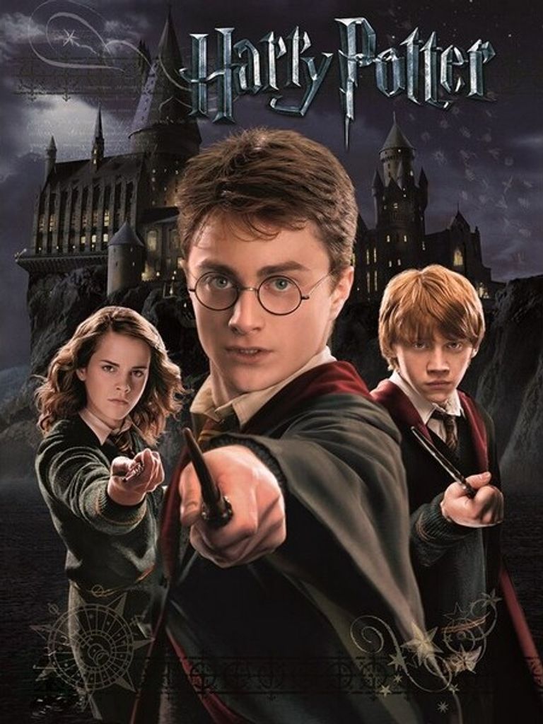 Harry Potter - bedruckt "Harry, Ron And Hermione" PM5721 (30 cm x 40 cm) (Schwarz)