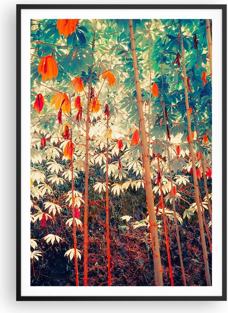 Gerahmtes Poster - Schwarzer Rahmen - Pflanzen tropisch orange - 70x100 cm - Wand Bild - Wanddeko - Wandbilder - Kunstposter - Wandposter - Bilderr...