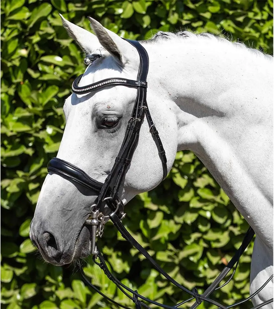 Bride de dressage anatomique Abriano Premier Equine en cuir noir Full