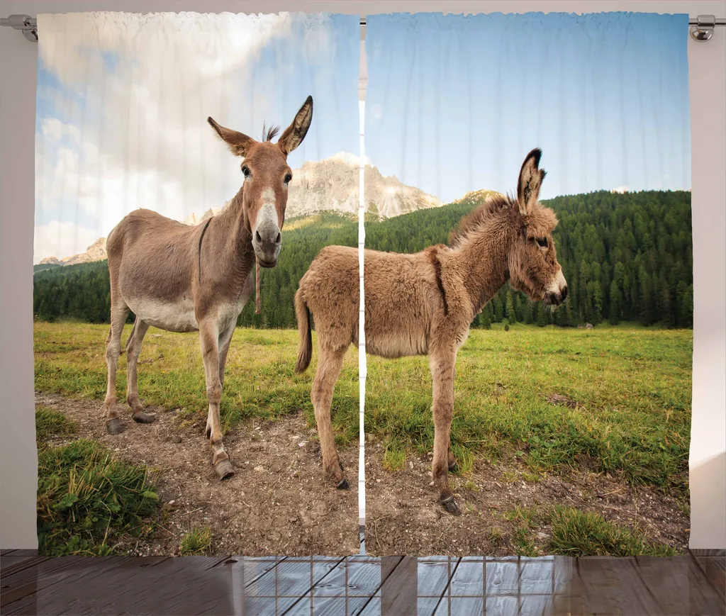 Tende Soggiorno Rustiche ABAKUHAUS 280x175 - Design Campagna Italiana