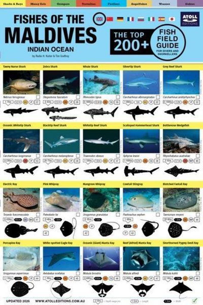 Maldives Fish Field Guide "Top 200+" Imagen del producto 