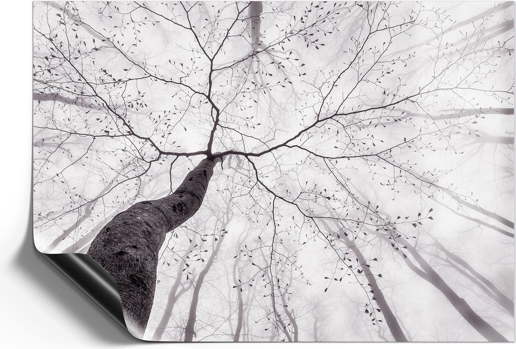DEQORI Magnetmatte Universal 59x42 cm (A2) 'Stille Resilienz' Magnetfolie Kalender Planer