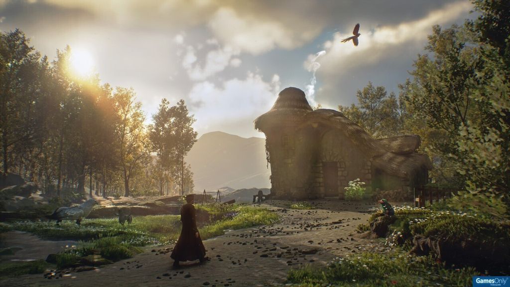 Hogwarts Legacy - Konsole PS5 Produktbild 12
