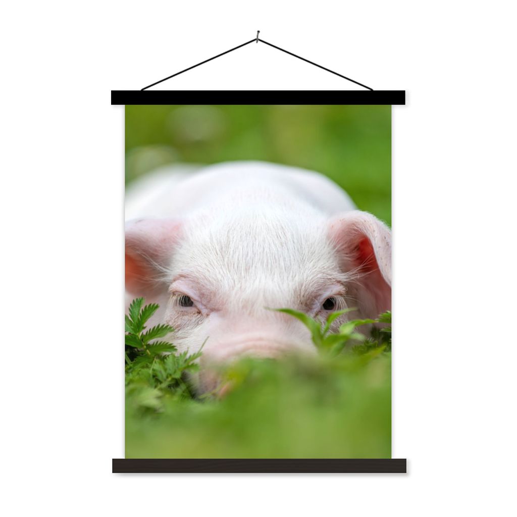 MuchoWow Textilposter Schwein - Tiere - Groß 120x160 cm mit schwarzem Rahmen - Magnetischer