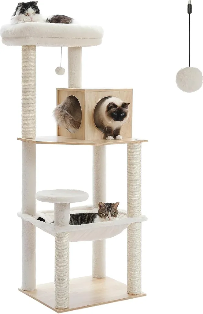 Arbre à chat cactus 78 cm pour petit appartement, aire de jeu et dodo