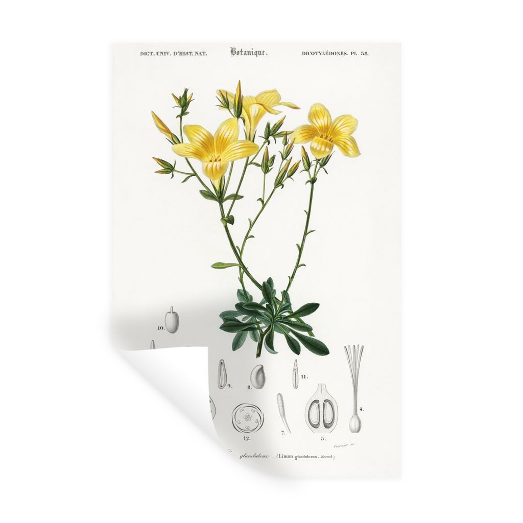 MuchoWow Wandtattoo Wandsticker Wandaufkleber Pflanze - Vintage - Blatt 40x60 cm Selbstklebend und Repositionierbar - Wierderverwendbar - Selbstk...