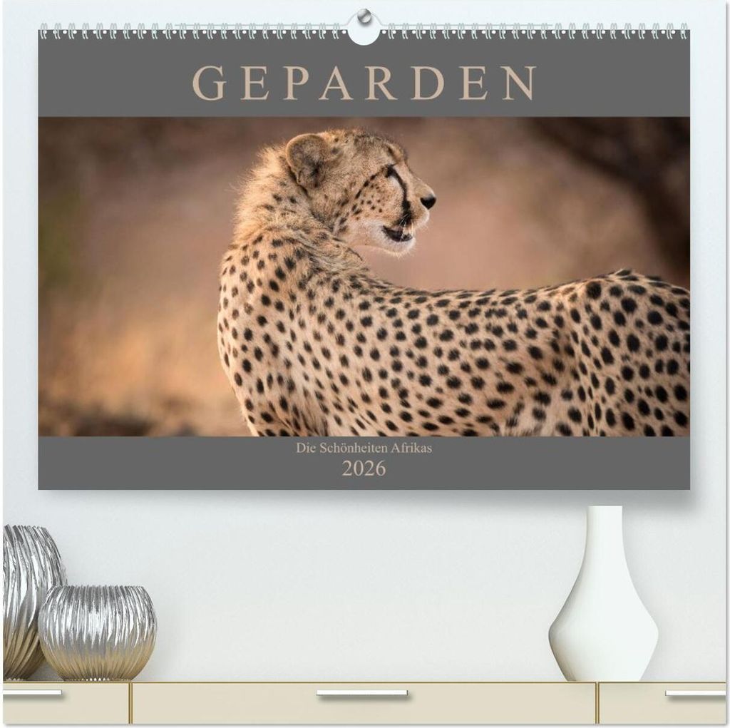 Geparden - Die Schönheiten Afrikas (hochwertiger Premium Wandkalender 2026 DIN A2 quer), Kunstdruck in Hochglanz