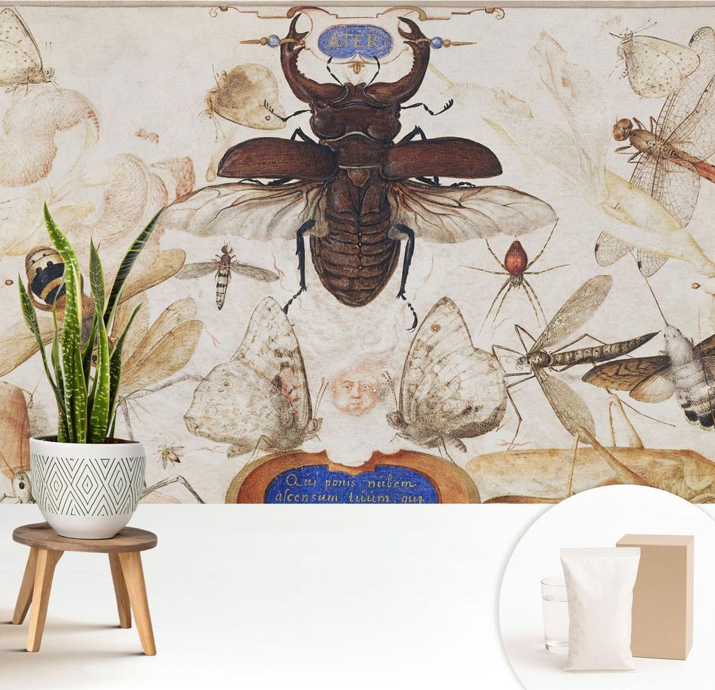 Fototapete - 208x146 cm - Tapete - Wandtapete - Wandbilder - Dekofolie - Tapete Folie - Wand - Dekoration - Wohnzimmer - Natürliche Harmonie