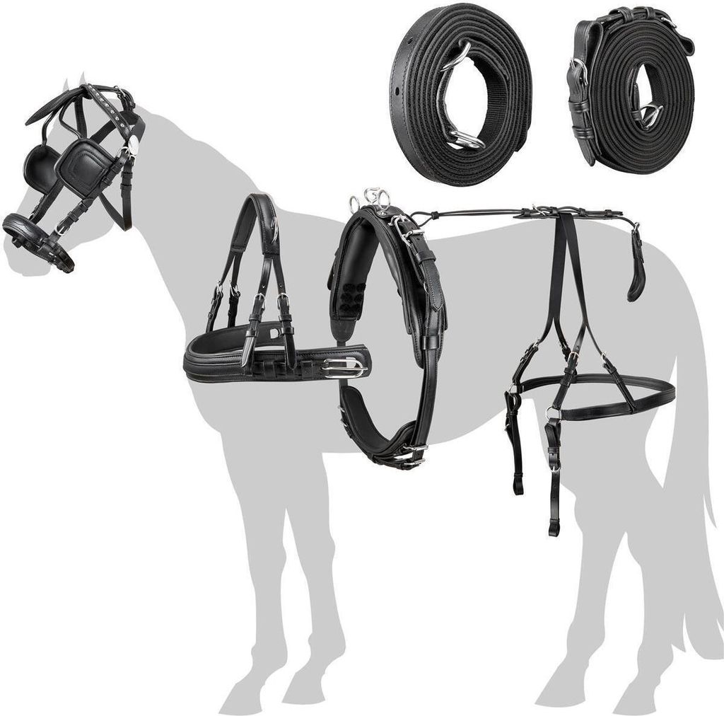 Esposita Einspännergeschirr "Pferdeglück" Schwarz Gr. Pony