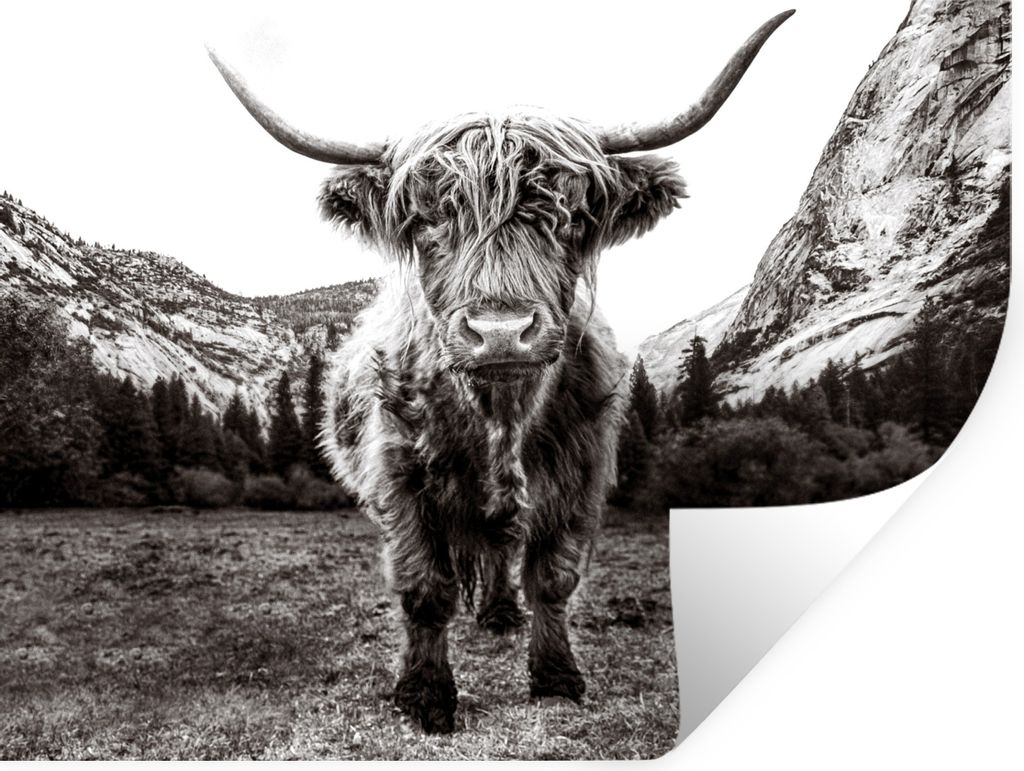 MuchoWow Wandtattoo Wandsticker Wandaufkleber Berg - Schwarz - Weiß - Schottischer Highlander 120x90 cm Selbstklebend und Repositionierbar - Auf...