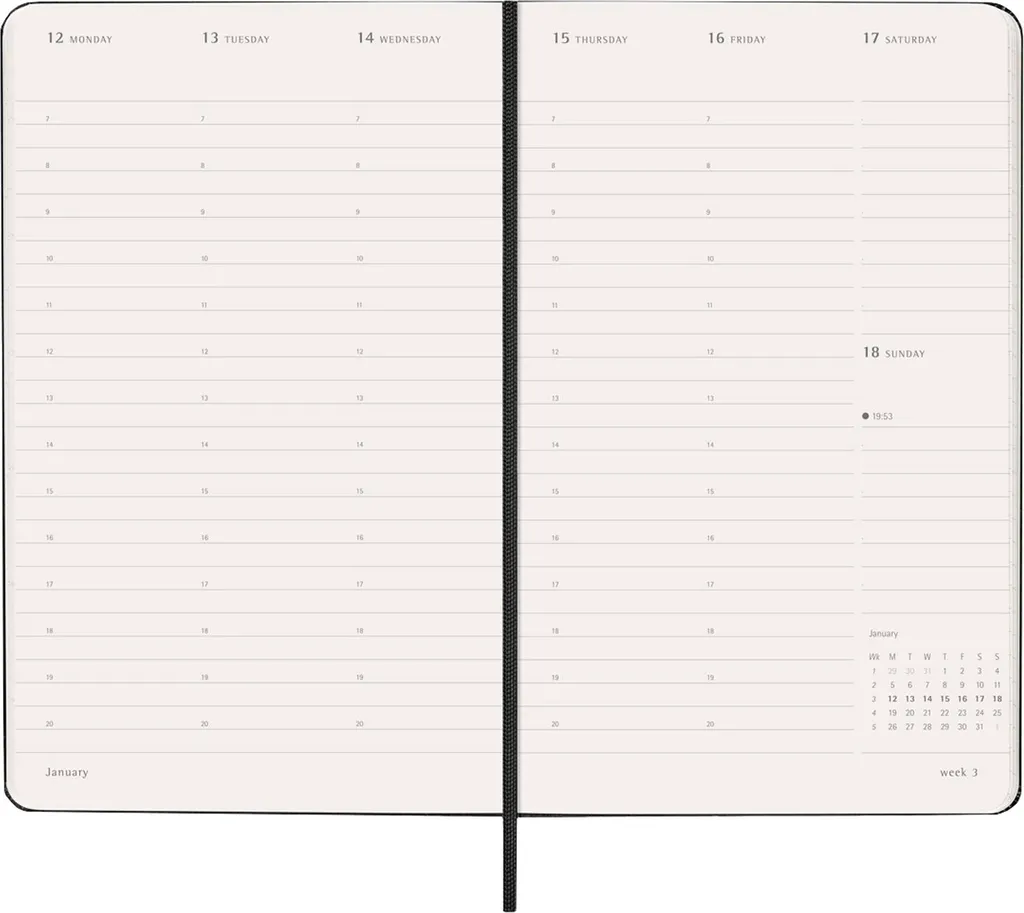 Agenda 2025 Moleskine Vertical Pro Rigide Noir 12 Mois Format Large 21 - 4