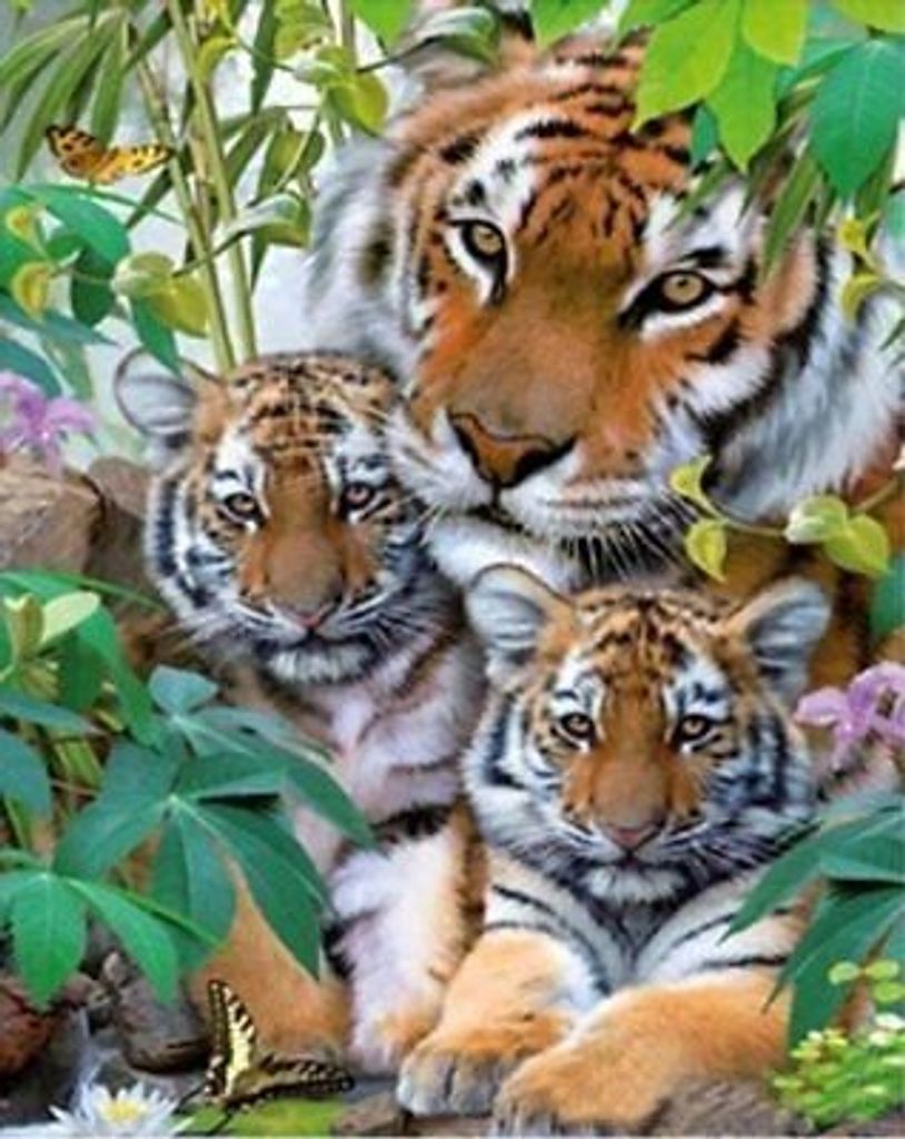 40x30 Diamanten Malerei Zum Selbermachen DIY Diamond Painting Drei Tiger