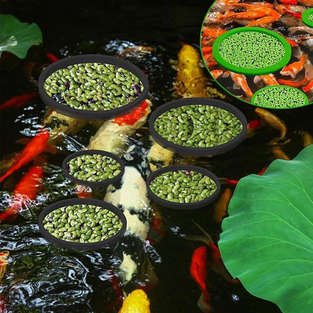 10 Stück Schwimmende Pflanzenringe für Aquarium - Aquarienfutterring - Runde Futterringe für Fische - Schwimmende Pflanzenperle - Sortiment von ...