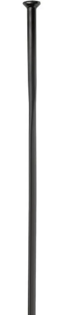 Rayon de vélo plat DT Swiss Aerolite 288 mm noir pour montage de roue