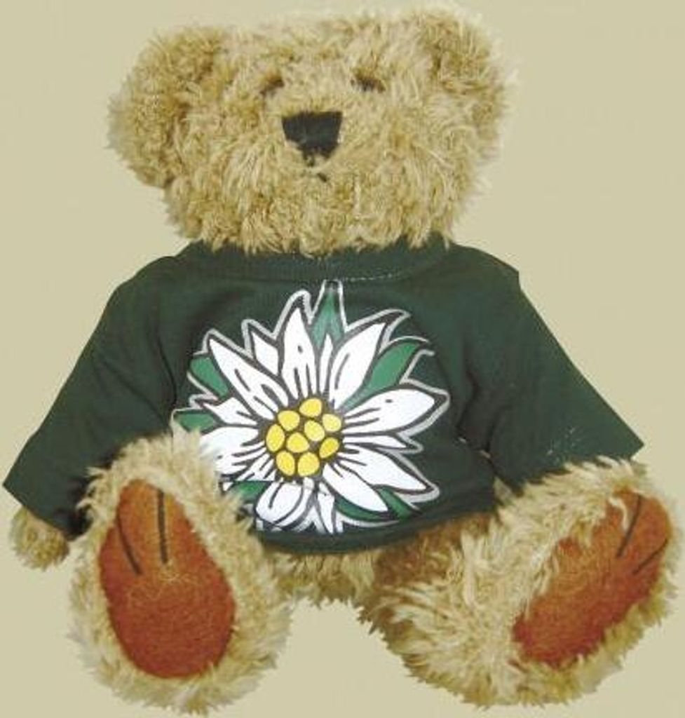 Plüschbär mit T-Shirt - Edelweiss - Gr. ca. 20 cm