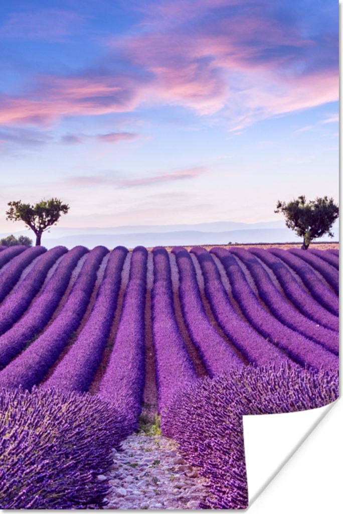 MuchoWow Poster Lavendel - Natur - Lila - Bäume - Blumen 40x60 cm - Plakate für die Wand - Poster Babyzimmer